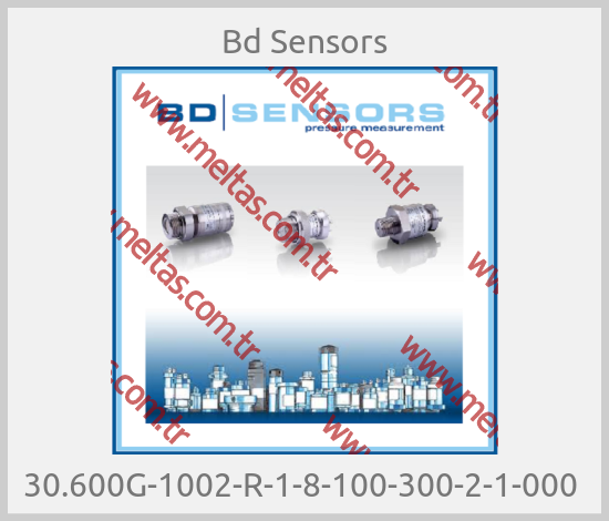 Bd Sensors - 30.600G-1002-R-1-8-100-300-2-1-000 