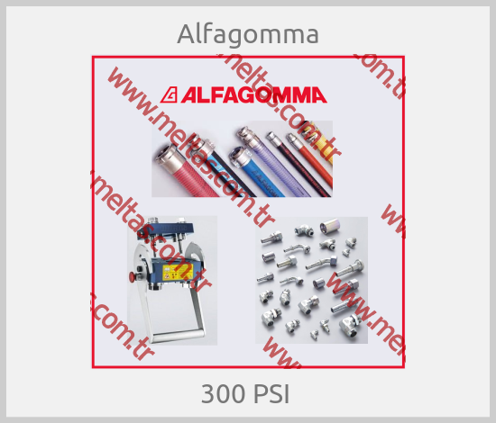 Alfagomma - 300 PSI 