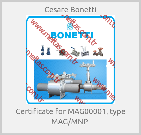 Cesare Bonetti - Certificate for MAG00001, type MAG/MNP 