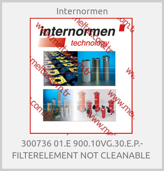 Internormen - 300736 01.E 900.10VG.30.E.P.- FILTERELEMENT NOT CLEANABLE 