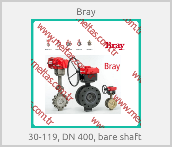 Bray-30-119, DN 400, bare shaft 