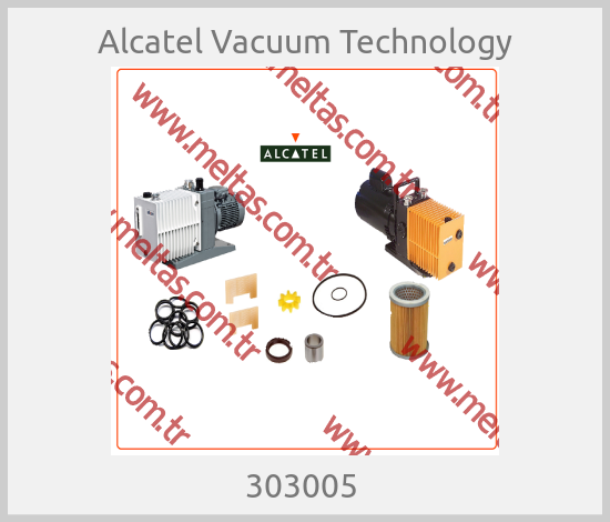 Alcatel Vacuum Technology - 303005 
