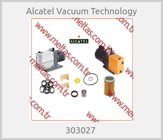 Alcatel Vacuum Technology - 303027 