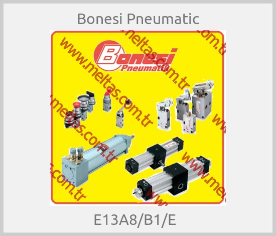 Bonesi Pneumatic - E13A8/B1/E  