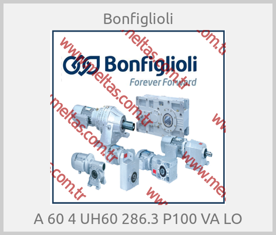 Bonfiglioli - A 60 4 UH60 286.3 P100 VA LO
