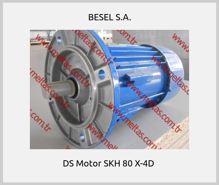 BESEL S.A. - DS Motor SKH 80 X-4D 