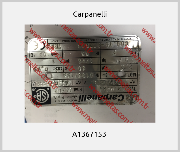Carpanelli - A1367153 