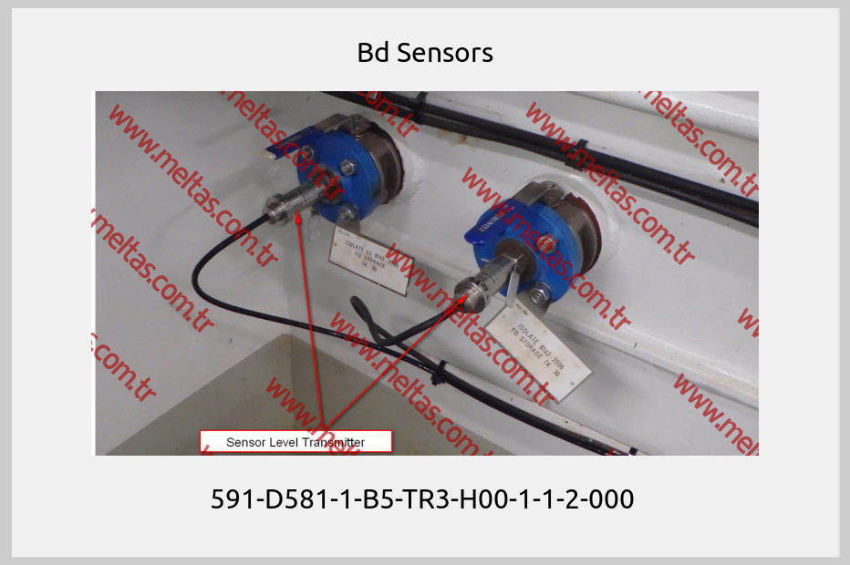 Bd Sensors - 591-D581-1-B5-TR3-H00-1-1-2-000 