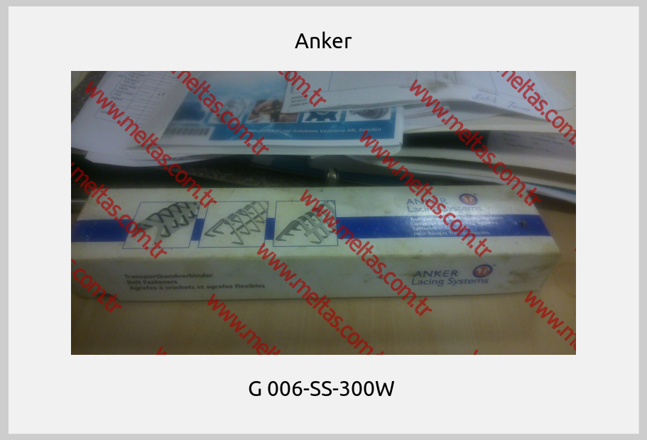 Anker - G 006-SS-300W 