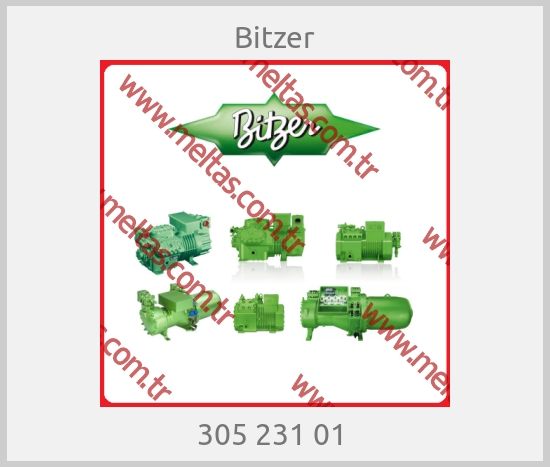 Bitzer - 305 231 01 