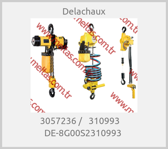 Delachaux - 3057236 /   310993     DE-8G00S2310993 
