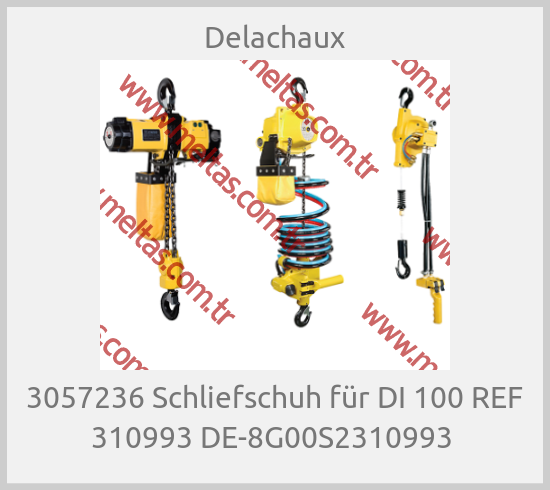 Delachaux - 3057236 Schliefschuh für DI 100 REF 310993 DE-8G00S2310993 