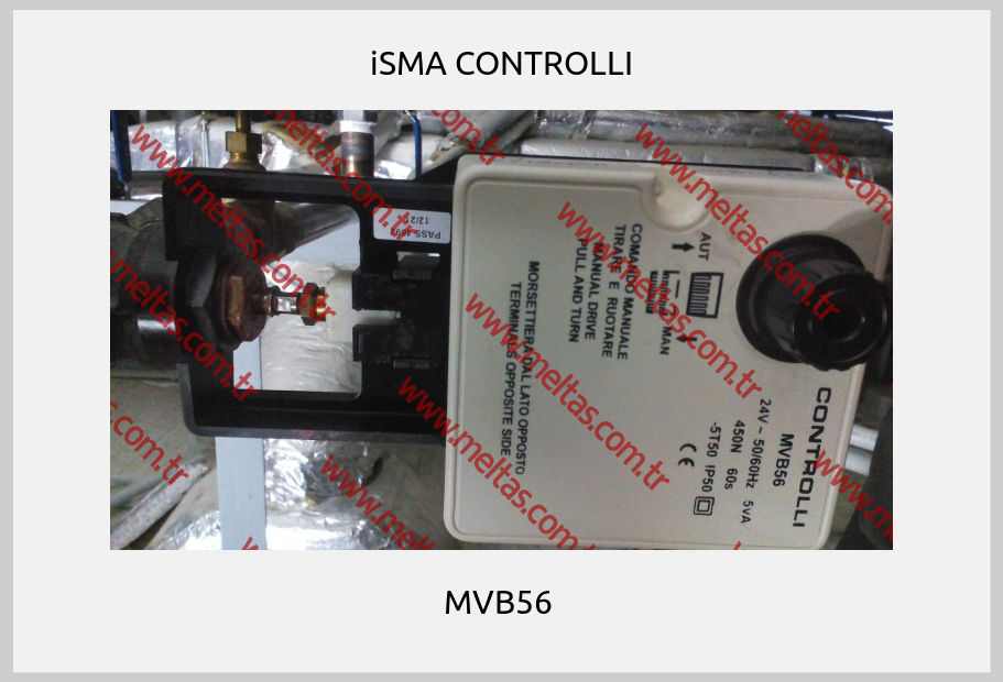 iSMA CONTROLLI - MVB56 