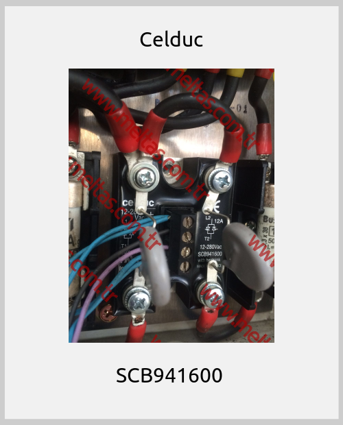Celduc - SCB941600 