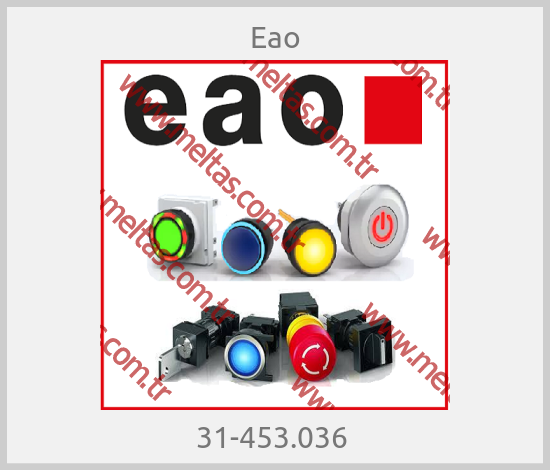 Eao - 31-453.036 