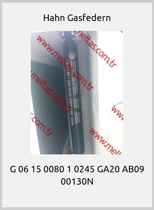 Hahn Gasfedern - G 06 15 0080 1 0245 GA20 AB09 00130N