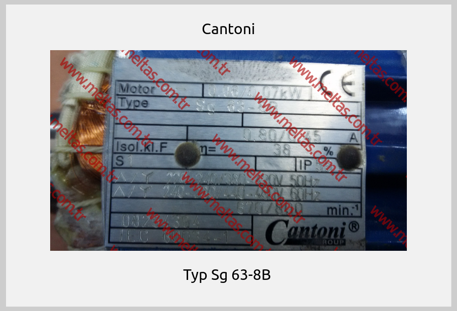 Cantoni - Typ Sg 63-8B 
