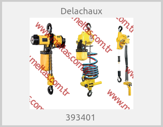 Delachaux - 393401 