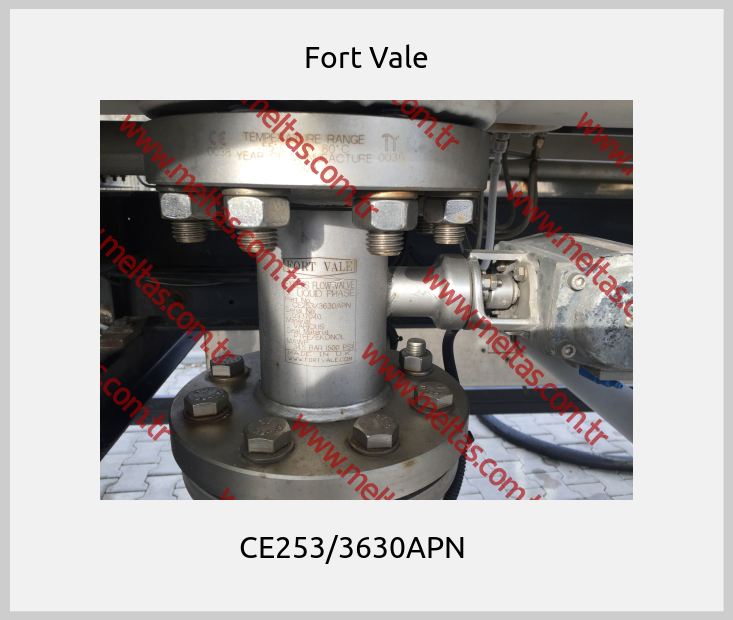 Fort Vale-CE253/3630APN    