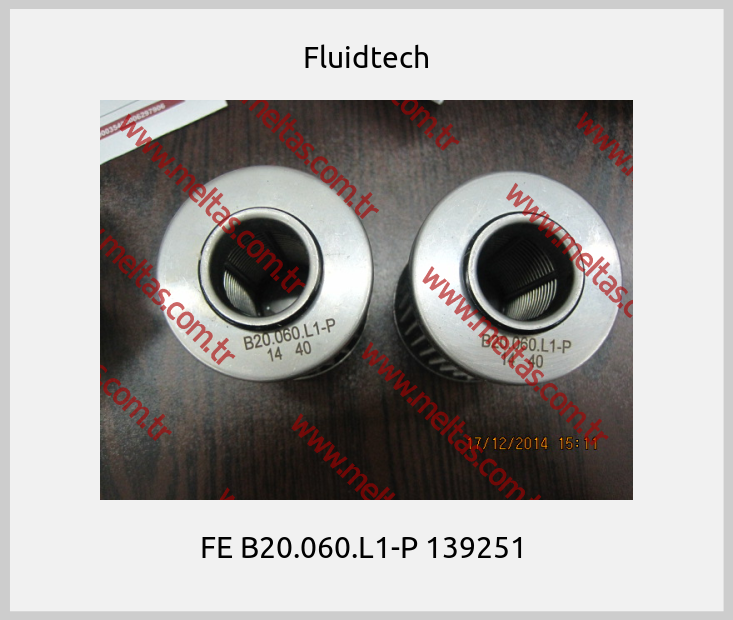 Fluidtech - FE B20.060.L1-P 139251 