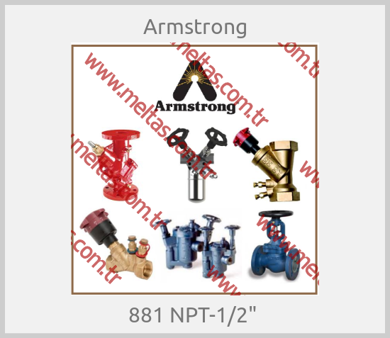 Armstrong - 881 NPT-1/2" 
