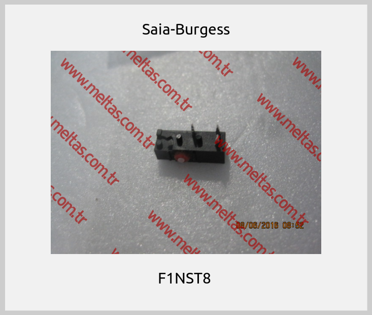 Saia-Burgess - F1NST8 