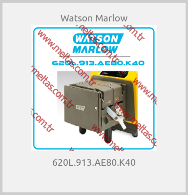 Watson Marlow - 620L.913.AE80.K40