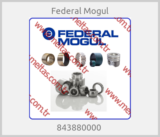 Federal Mogul - 843880000 