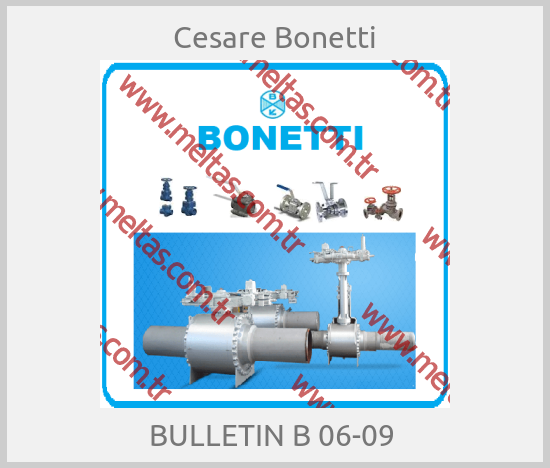Cesare Bonetti - BULLETIN B 06-09 