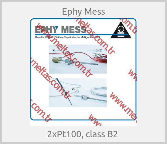 Ephy Mess - 2xPt100, class B2 