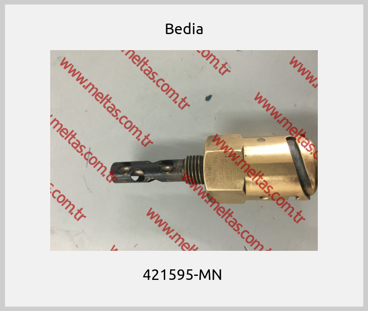 Bedia - 421595-MN 