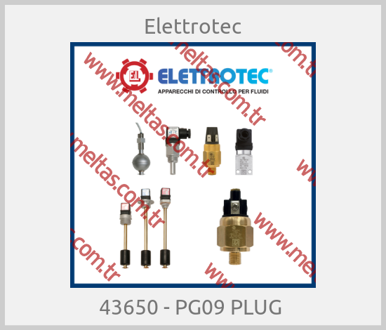 Elettrotec - 43650 - PG09 PLUG 