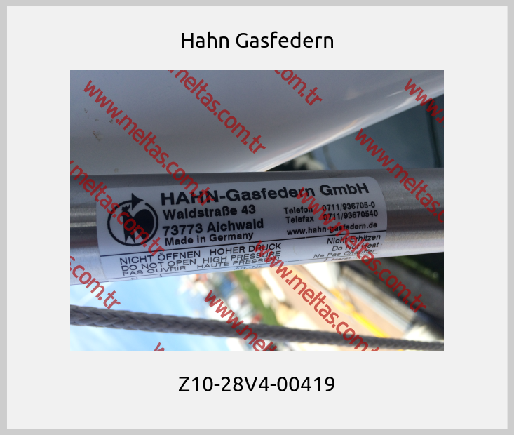 Hahn Gasfedern - Z10-28V4-00419