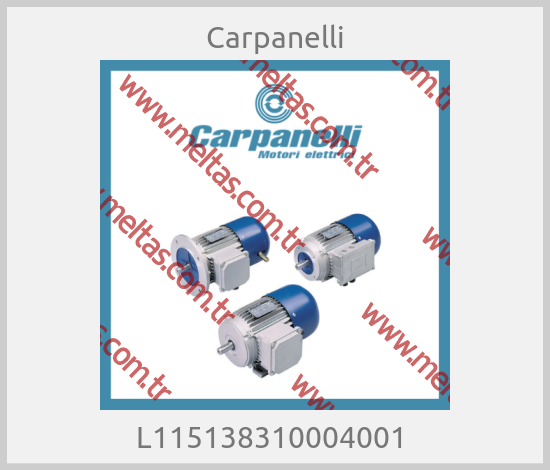 Carpanelli - L115138310004001 