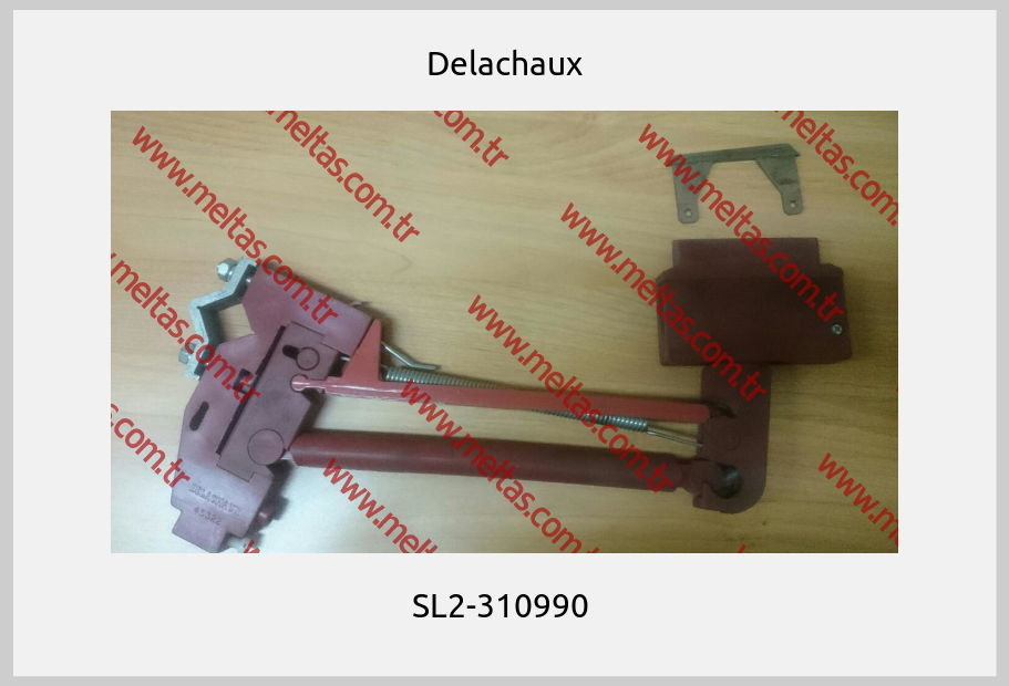 Delachaux - SL2-310990 