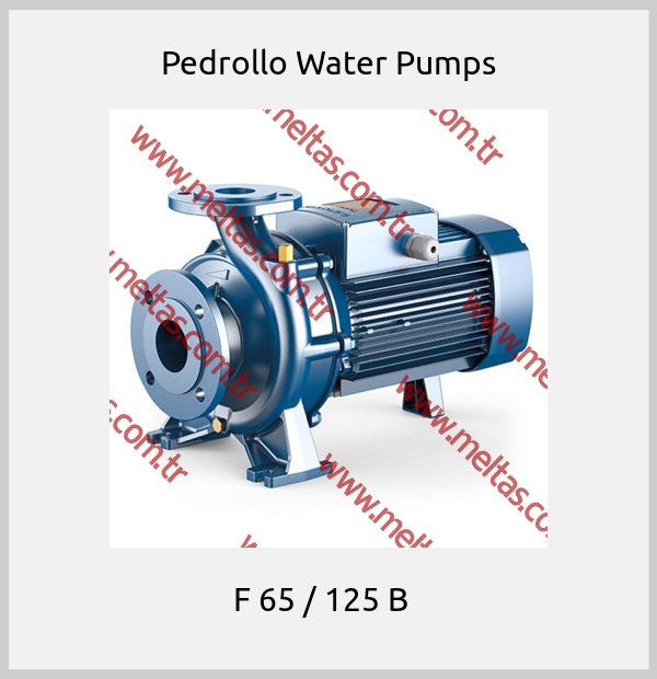 Pedrollo Water Pumps -  F 65 / 125 B  