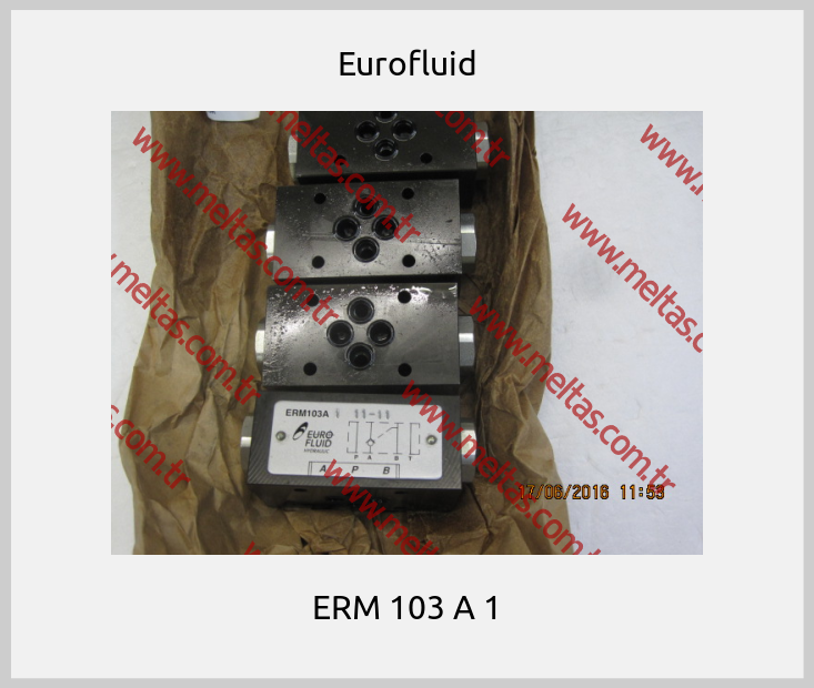Eurofluid - ERM 103 A 1