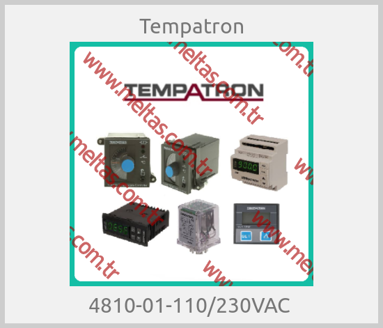 Tempatron - 4810-01-110/230VAC 
