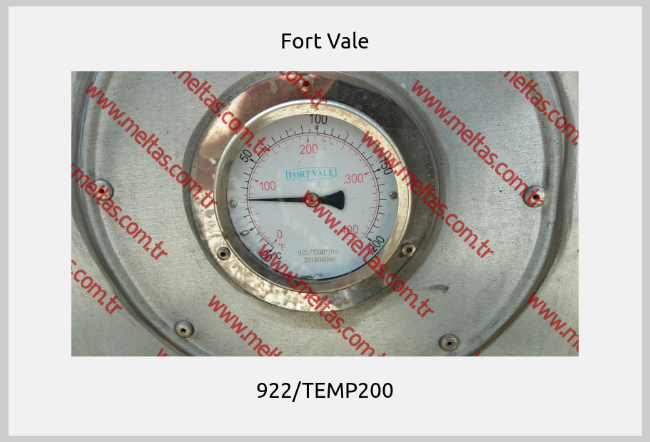 Fort Vale-922/TEMP200