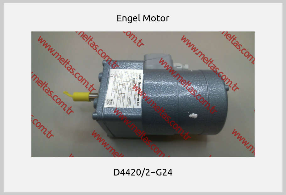 Engel Motor - D4420/2−G24