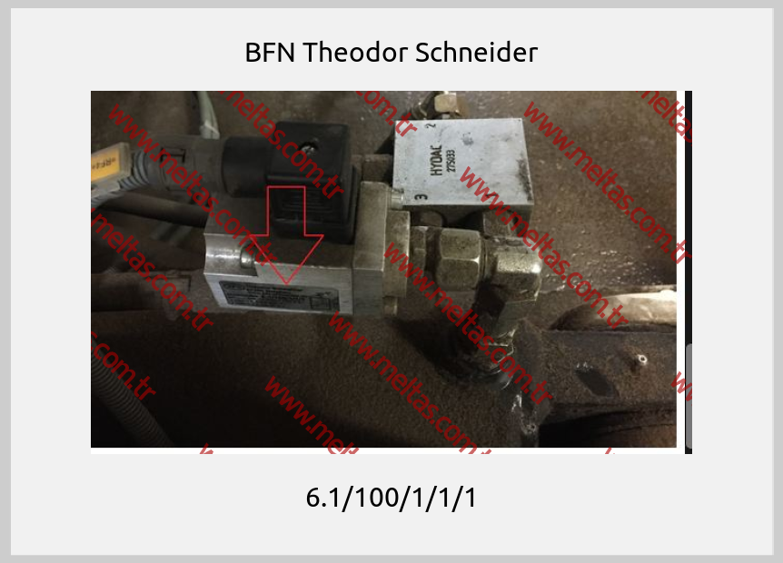 BFN Theodor Schneider - 6.1/100/1/1/1