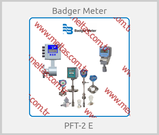 Badger Meter - PFT-2 E 