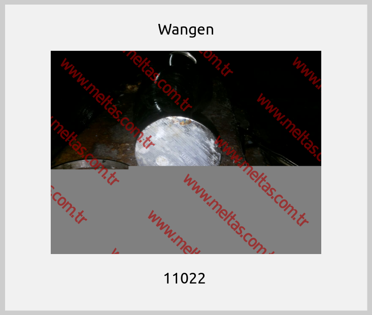 Wangen - 11022 