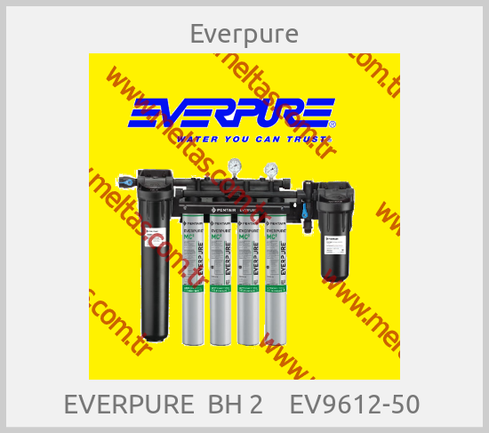 Everpure - EVERPURE  BH 2    EV9612-50 