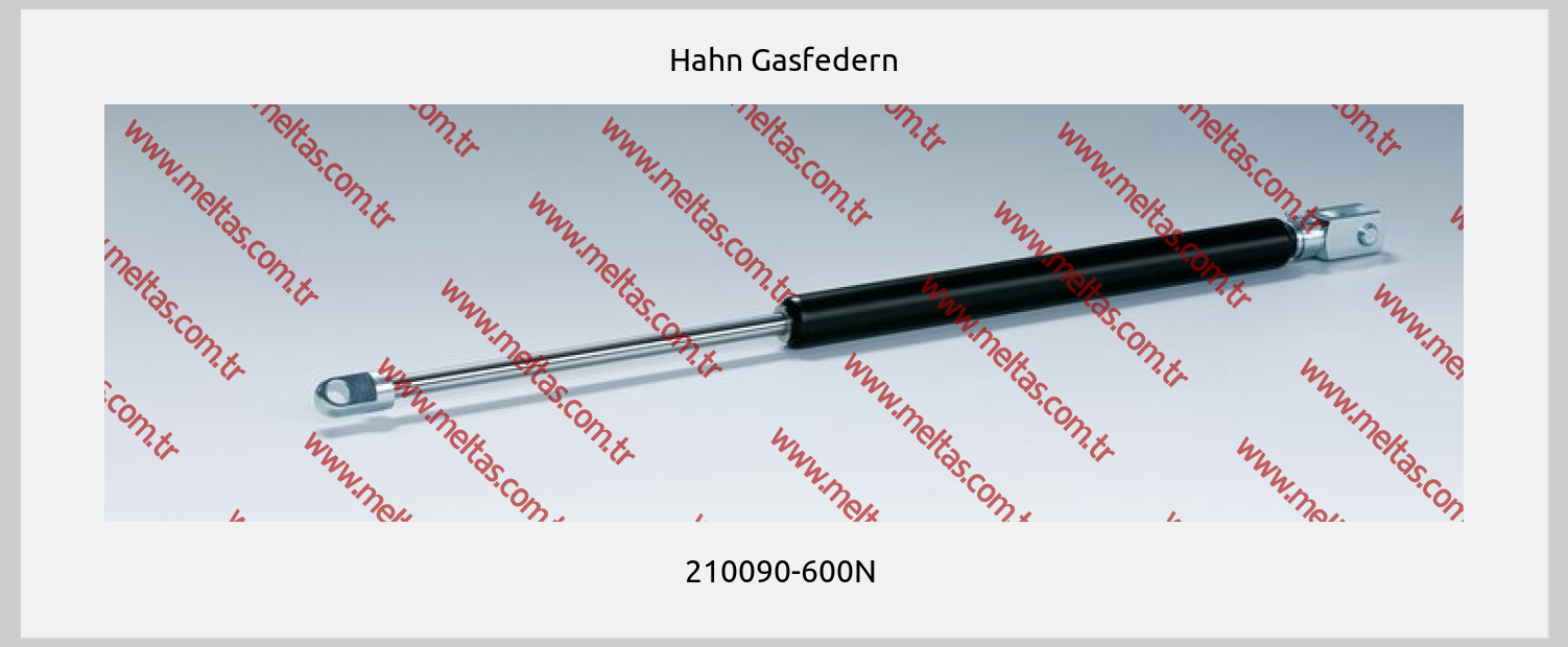 Hahn Gasfedern - 210090-600N 