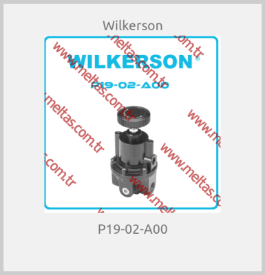 Wilkerson - P19-02-A00