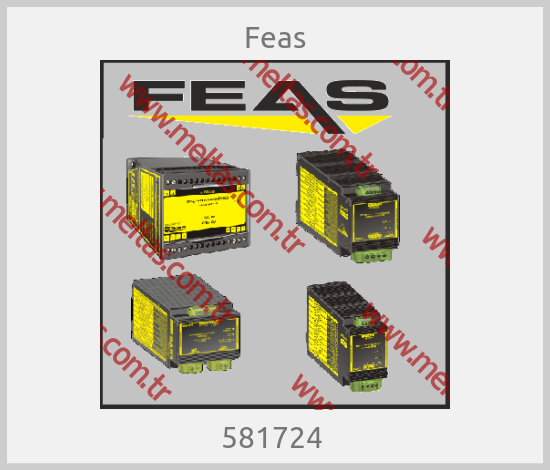 Feas - 581724 
