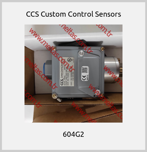 CCS Custom Control Sensors-604G2