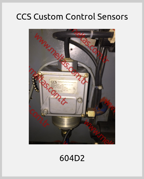 CCS Custom Control Sensors - 604D2