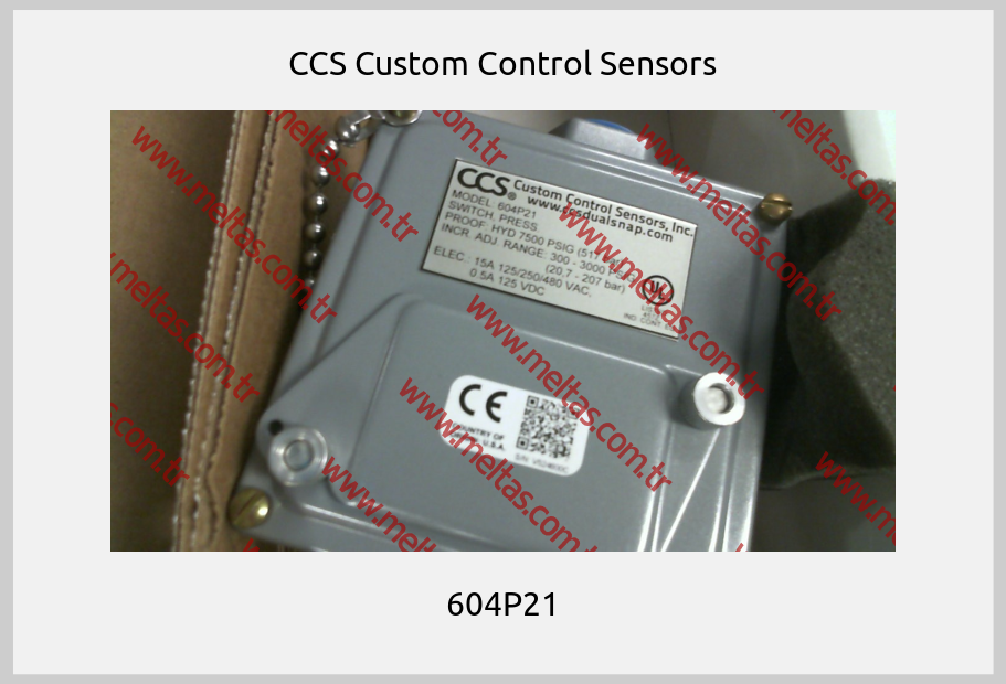CCS Custom Control Sensors - 604P21